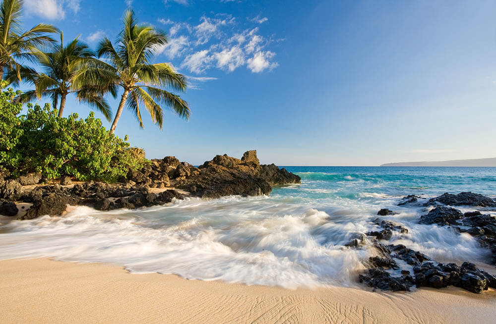 Free Online Word Search Game about Hawaii by AMAC
